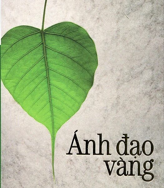 Ánh Đạo Vàng