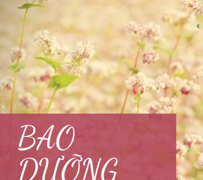 Bao Dưỡng