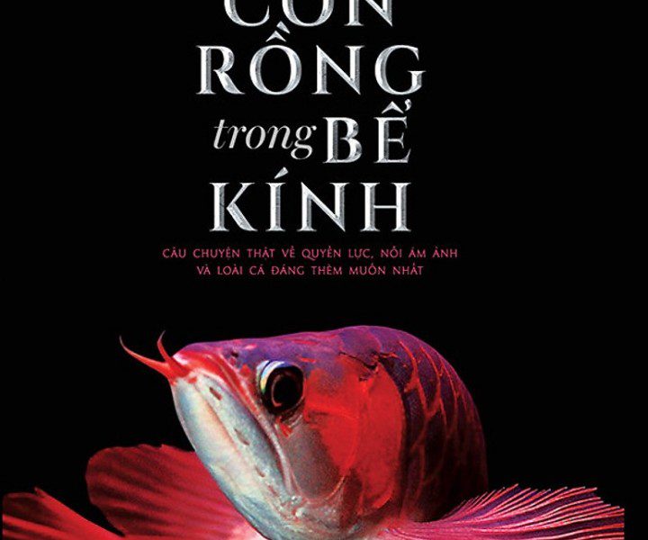 Con Rồng Trong Bể Kính