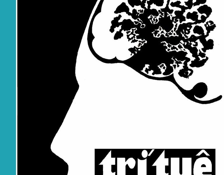 Cuộc Thử Thách Trí Tuệ