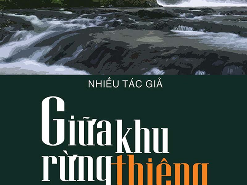 Giữa Khu Rừng Thiêng